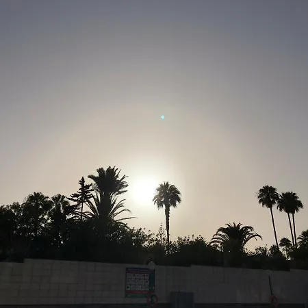 Aloe Laurent-gael Playa del Inglés